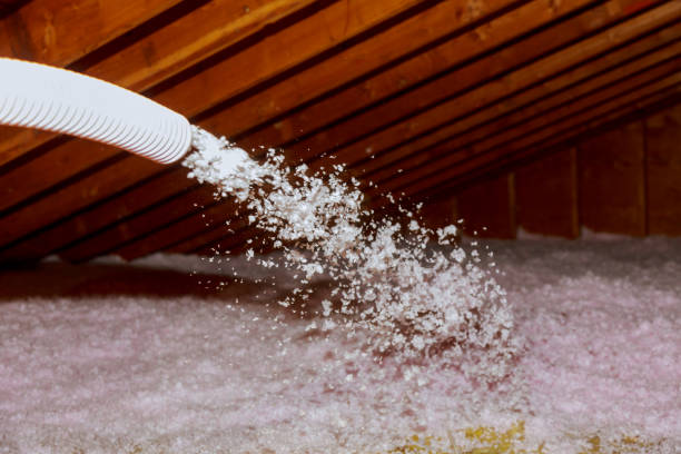 Best Insulation Installation Services in Weirton, WV